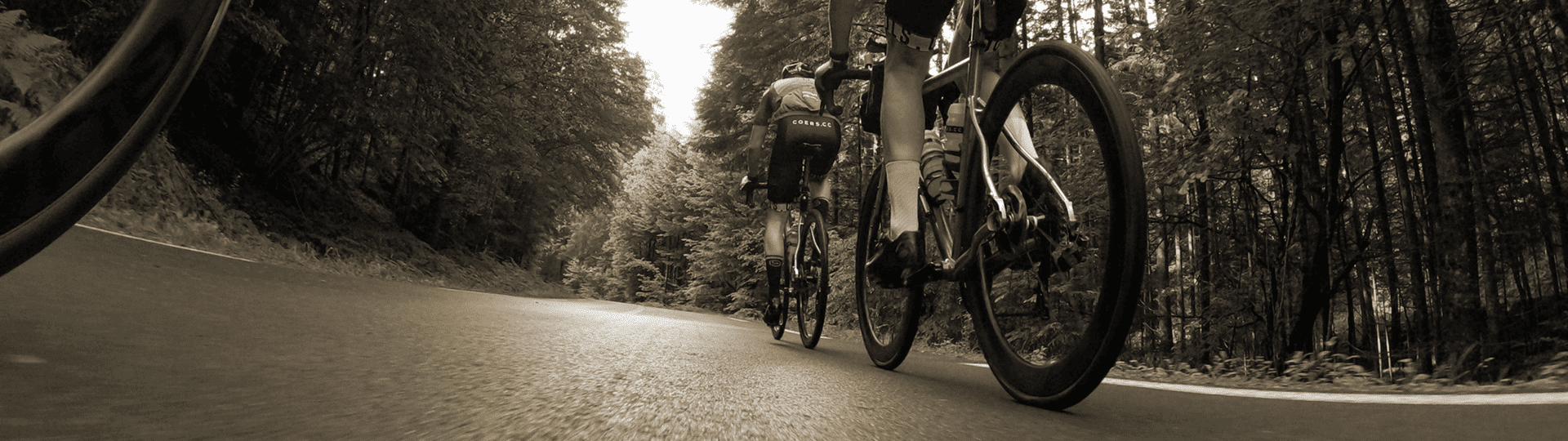 gilbertson coers_03A0797 kopiëren.png